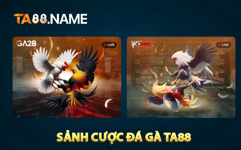 Sảnh cược đá gà TA88
