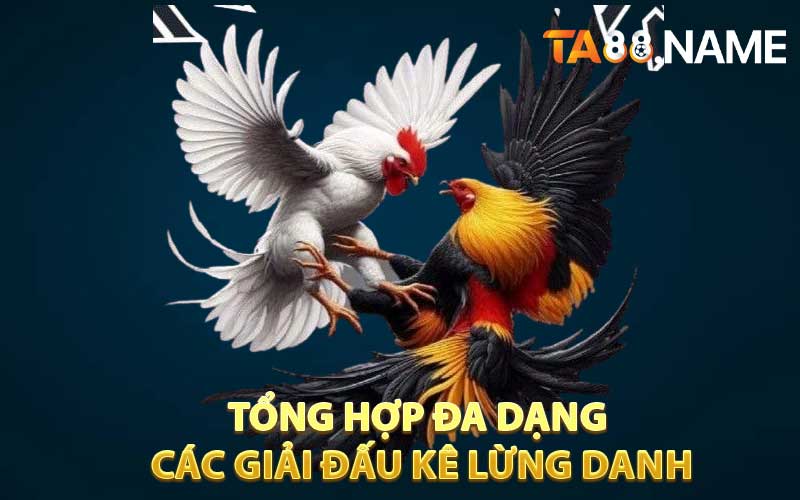 Tổng hợp đa dạng các giải đấu kê lừng danh tại TA88
